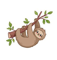 cute sloth wallpapers 0024