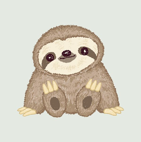 cute sloth wallpapers 0030