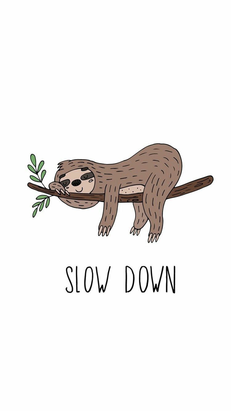 cute sloth wallpapers 0034