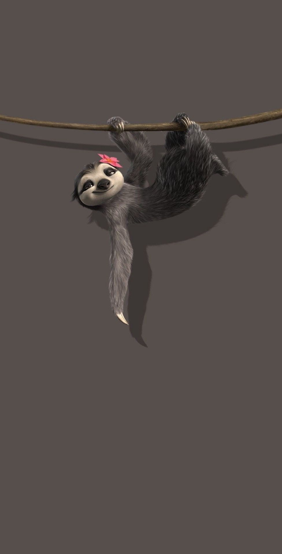 cute sloth wallpapers 0040