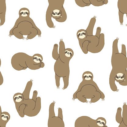 cute sloth wallpapers 0049