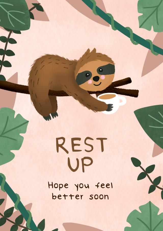 cute sloth wallpapers 0088