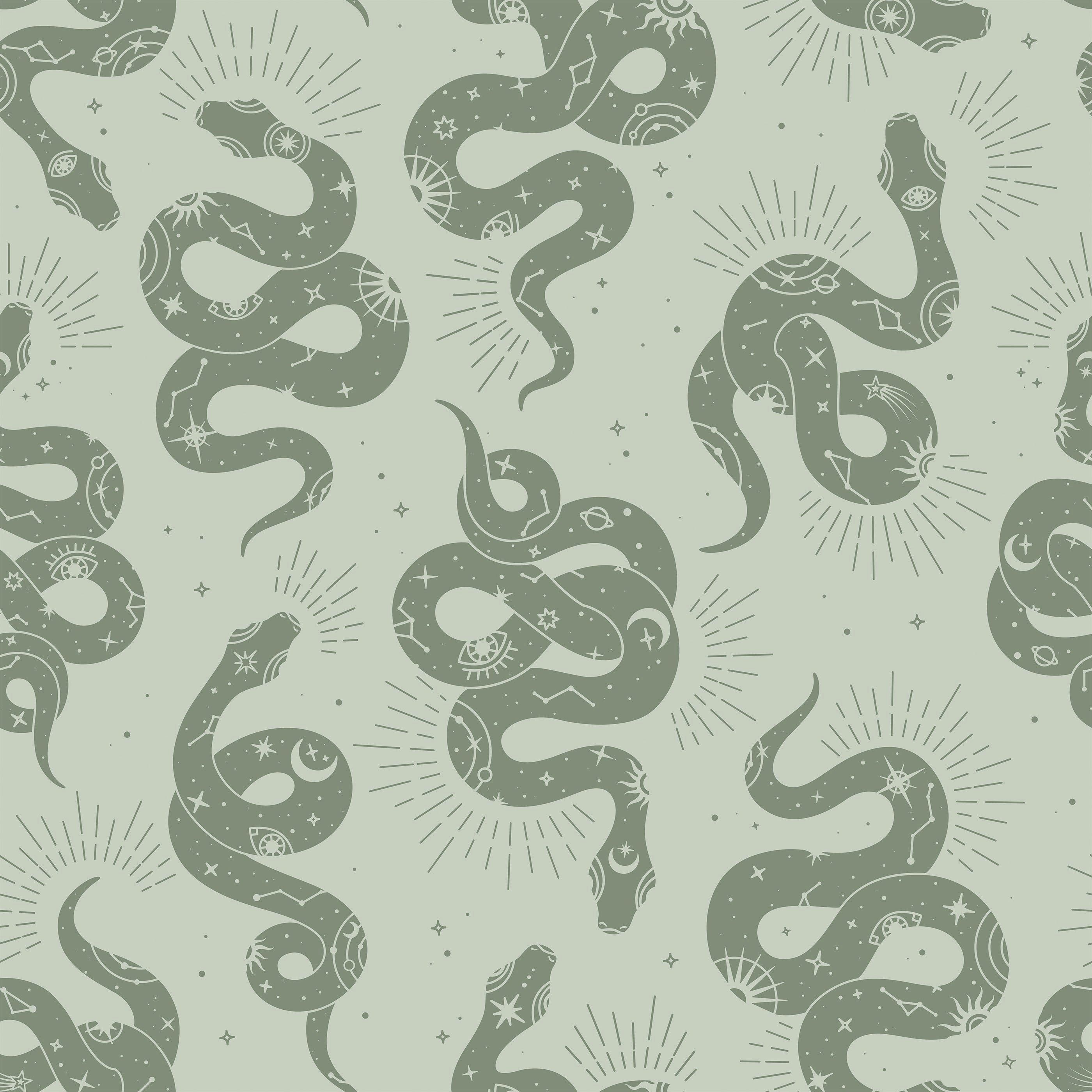 cute snake wallpapers 0019