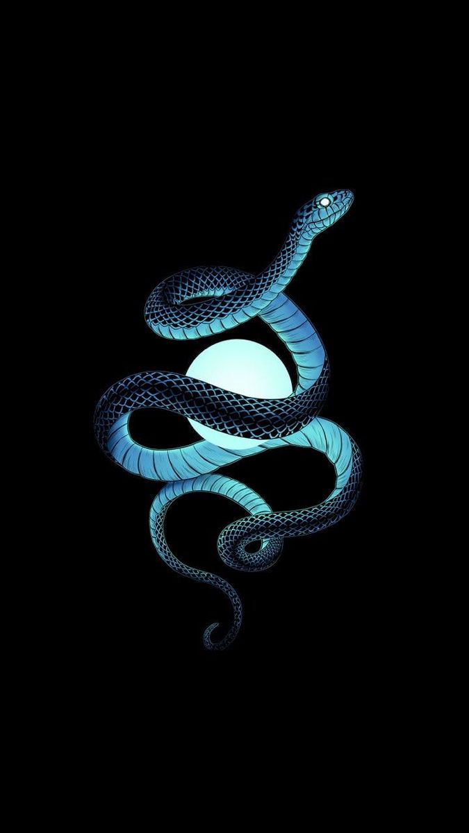 cute snake wallpapers 0036