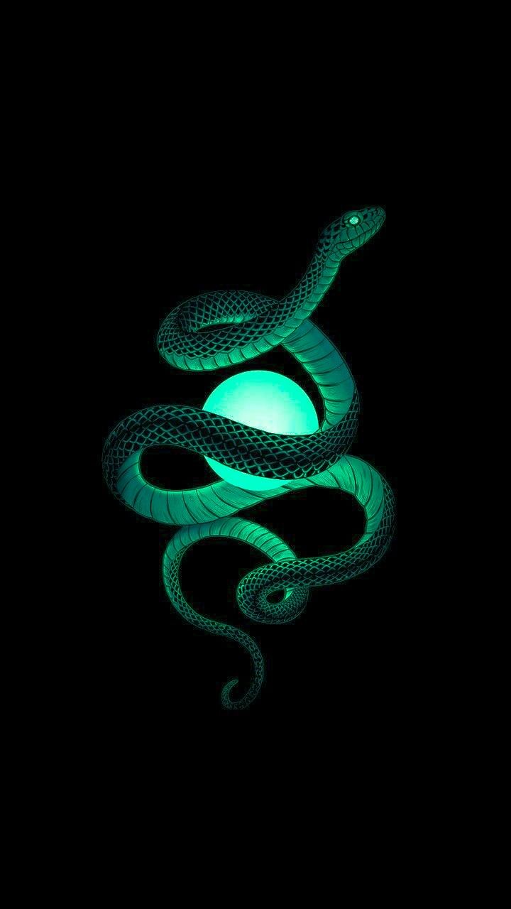 cute snake wallpapers 0067