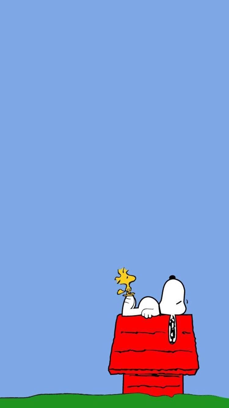 cute Snoopy wallpaper 0038