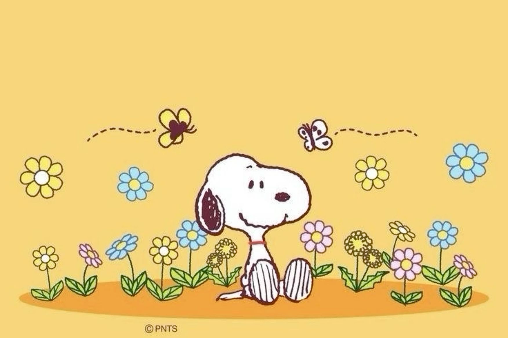 cute Snoopy wallpaper 0079