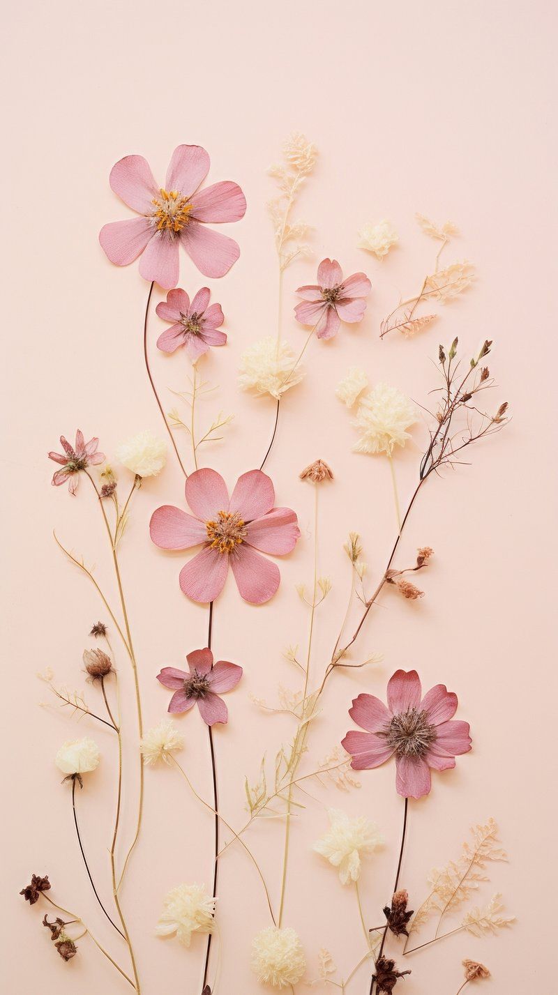 cute spring wallpapers 0096