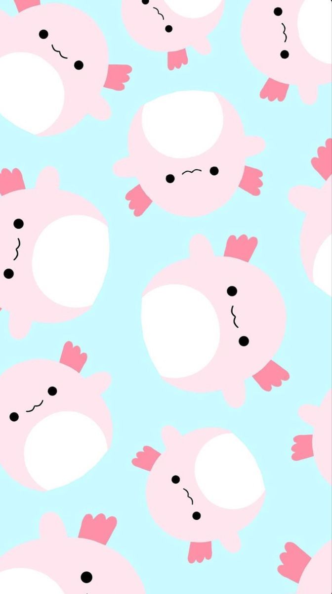 cute Squishmallow wallpapers 0011