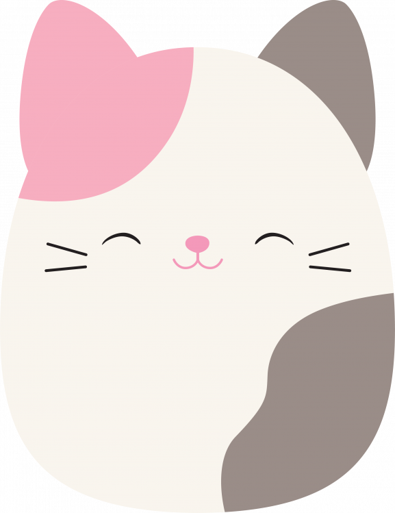 cute Squishmallow wallpapers 0056