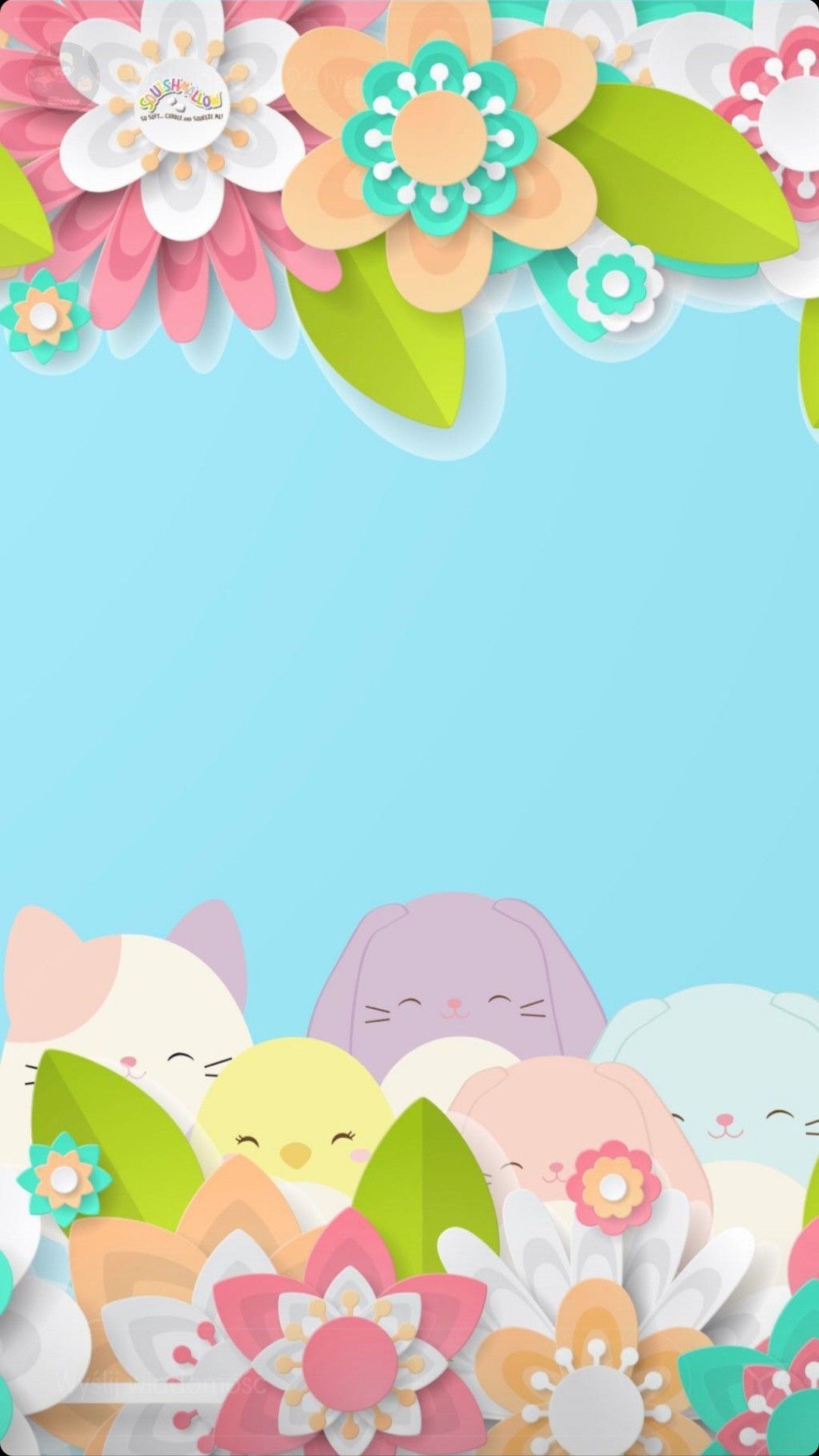 cute Squishmallow wallpapers 0083