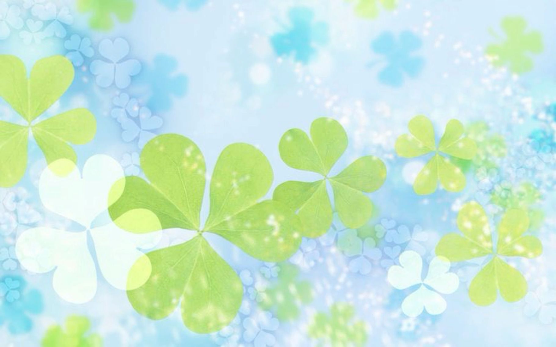 cute St Patricks Day wallpapers 0036