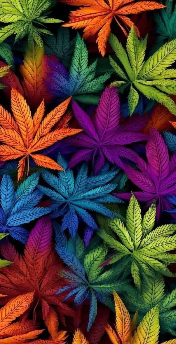 cute stoner wallpapers 0086