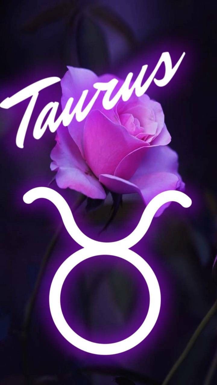 cute Taurus wallpapers 0024