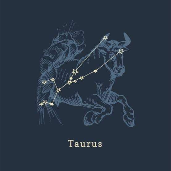 cute Taurus wallpapers 0036