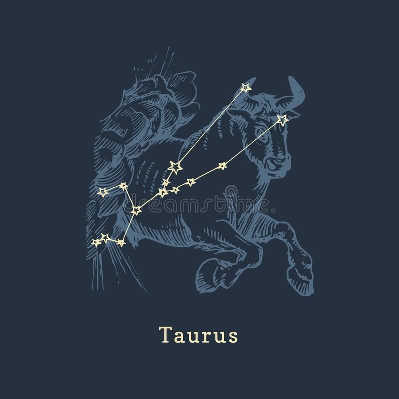 cute Taurus wallpapers 0060