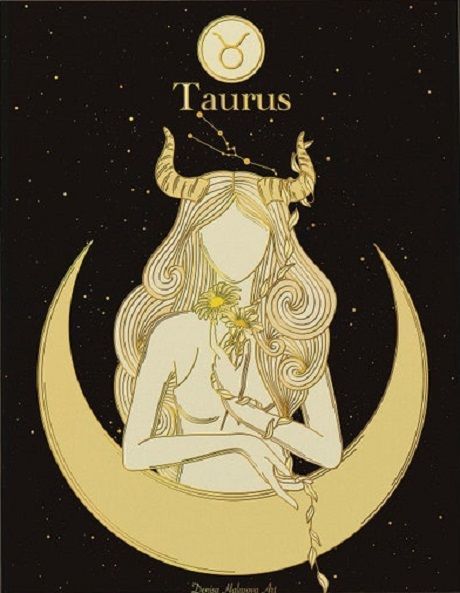 cute Taurus wallpapers 0089