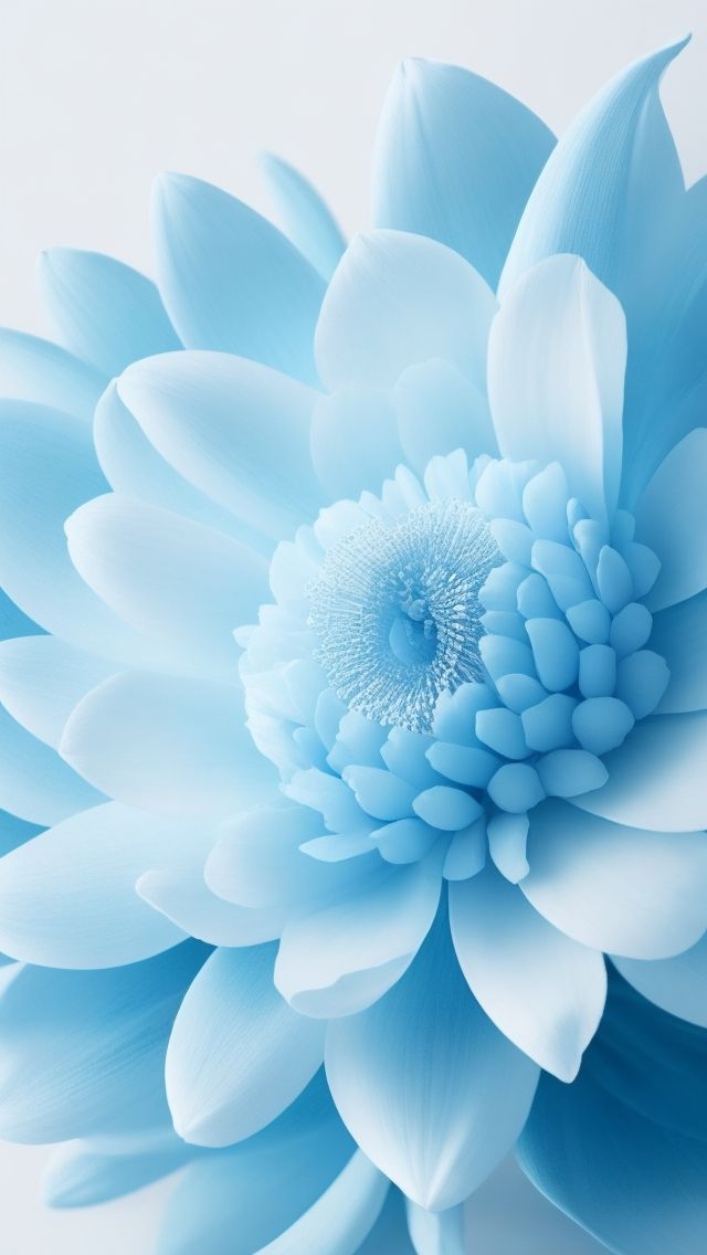 cute teal wallpapers 0042