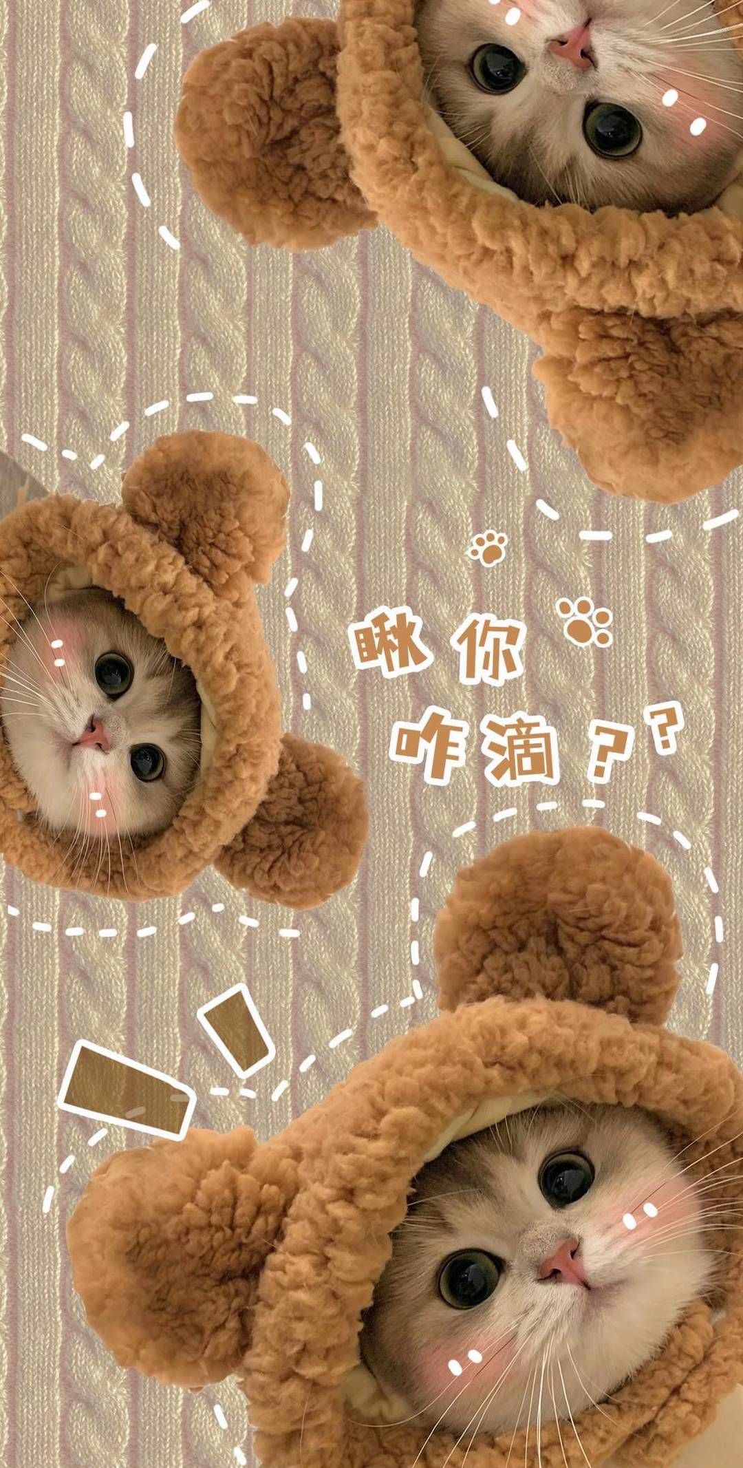 cute Teddy Bear wallpapers 0025