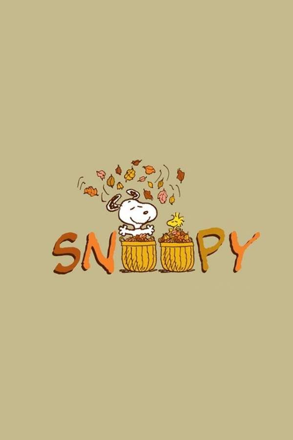 cute Thanksgiving wallpapers 0070