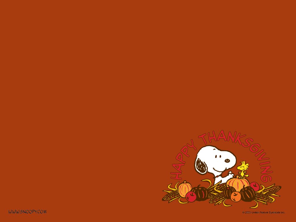 cute Thanksgiving wallpapers 0084