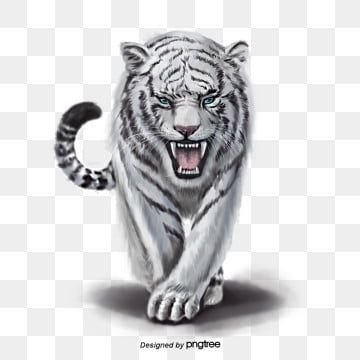 cute tiger wallpapers 0071