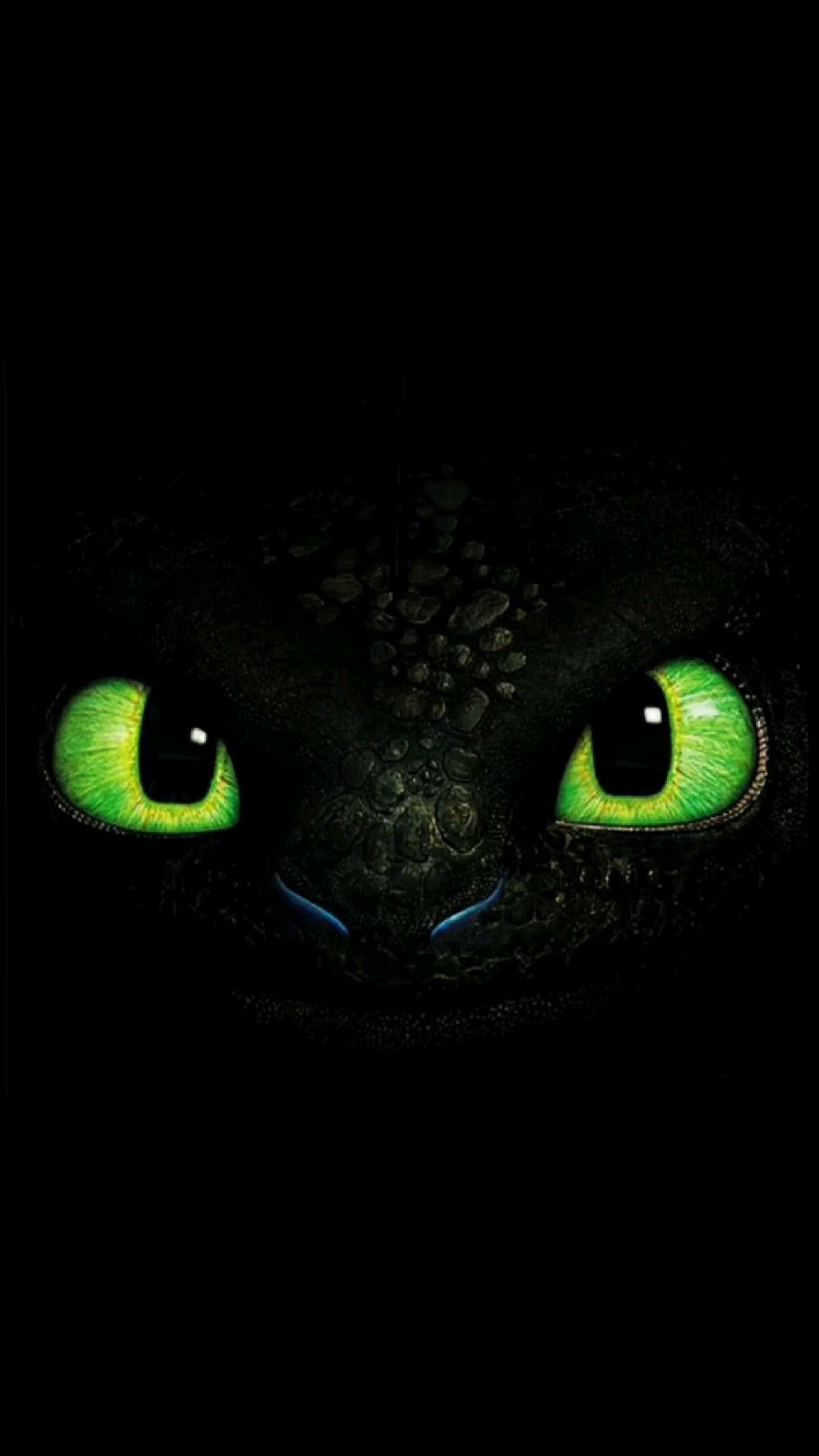 cute Toothless wallpapers 0012