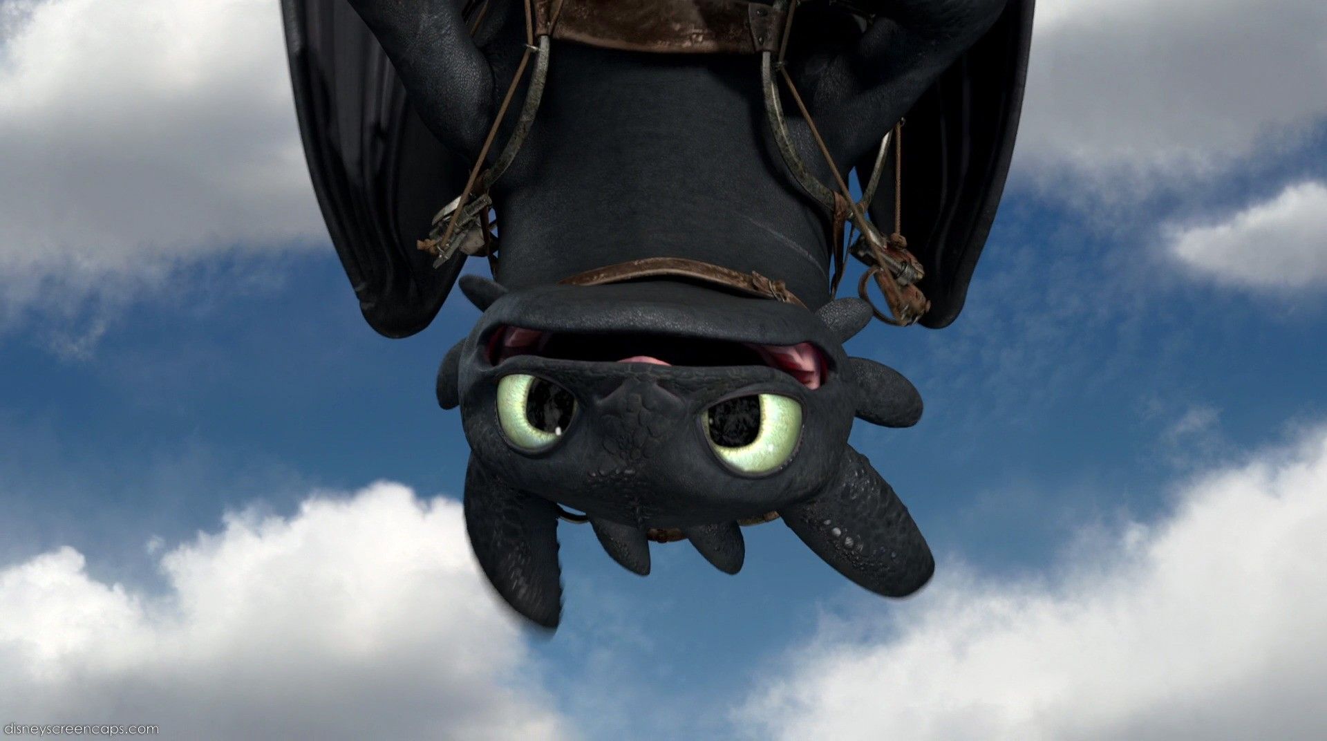 cute Toothless wallpapers 0031