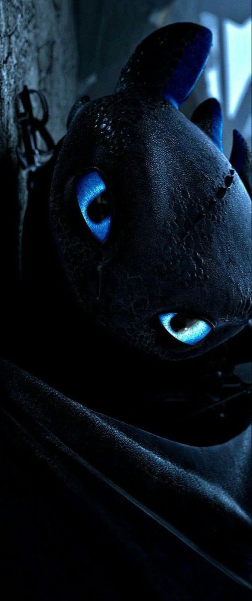 cute Toothless wallpapers 0046