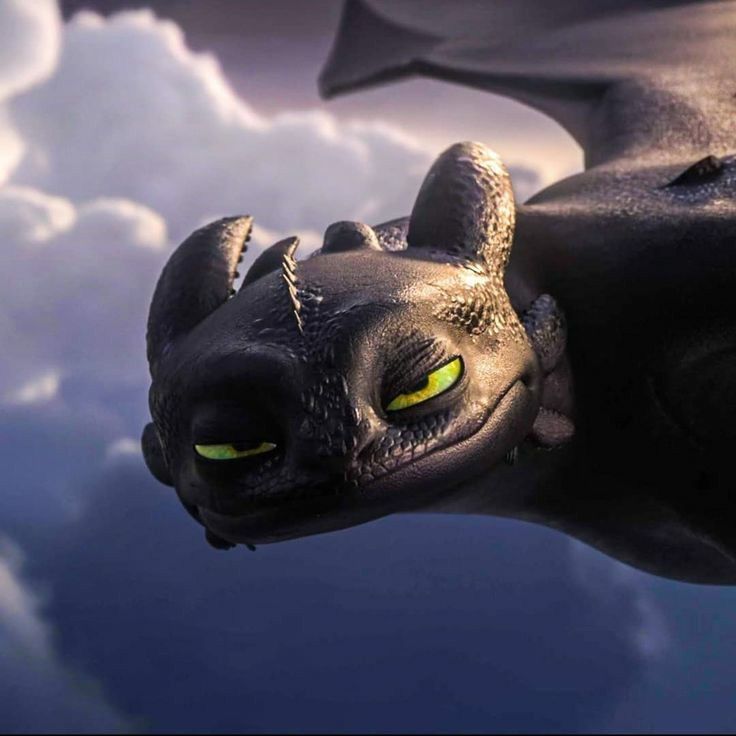 cute Toothless wallpapers 0051