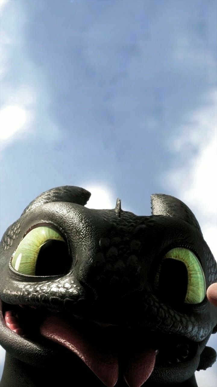 cute Toothless wallpapers 0056