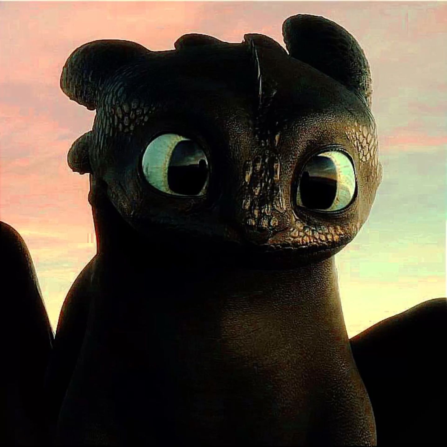 cute Toothless wallpapers 0058