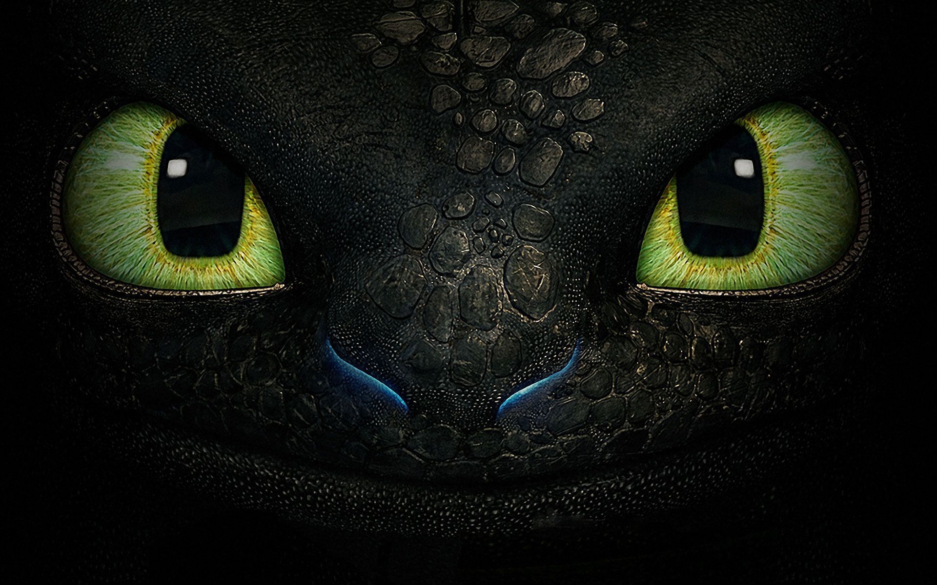 cute Toothless wallpapers 0074