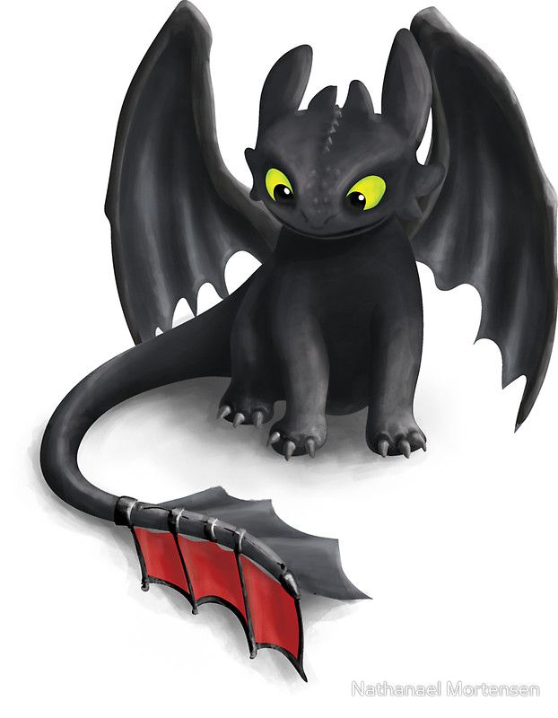 cute Toothless wallpapers 0083