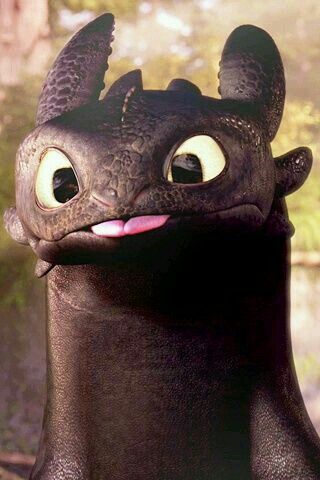 cute Toothless wallpapers 0085