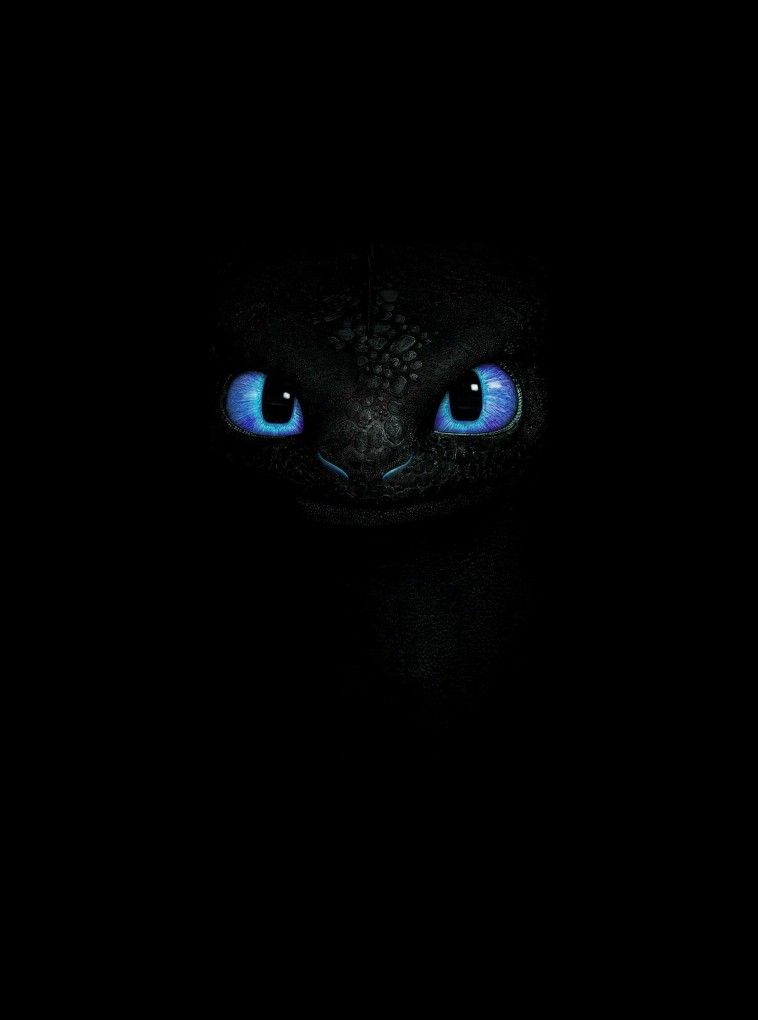 cute Toothless wallpapers 0086