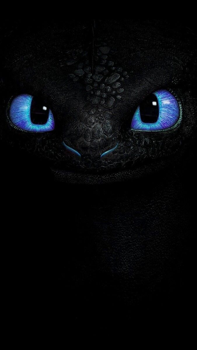 cute Toothless wallpapers 0097