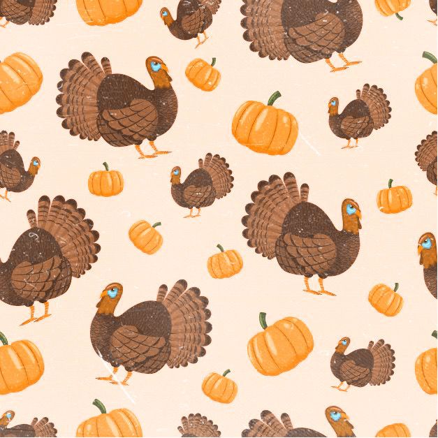 cute turkey wallpapers 0023