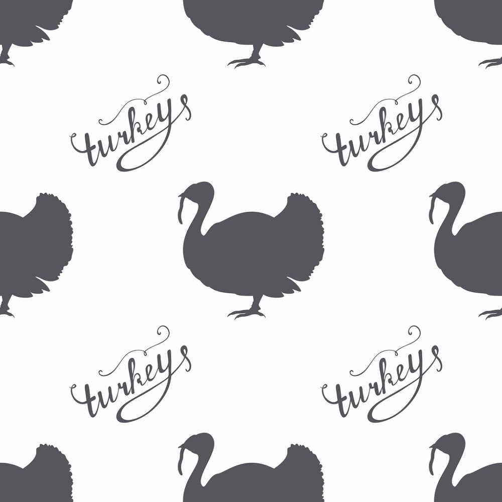 cute turkey wallpapers 0033