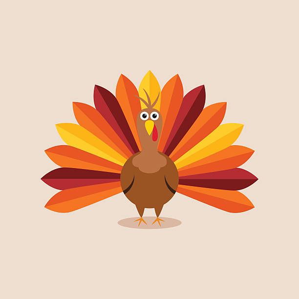 cute turkey wallpapers 0034