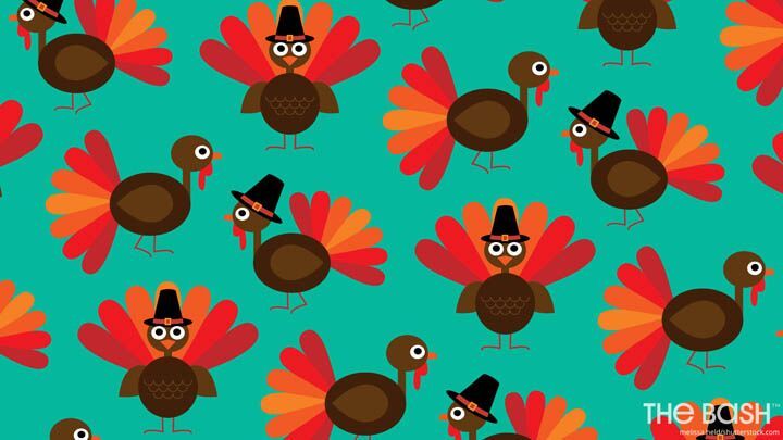 cute turkey wallpapers 0036