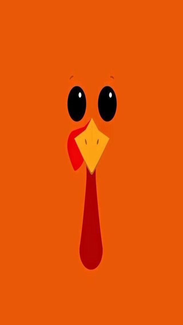 cute turkey wallpapers 0051