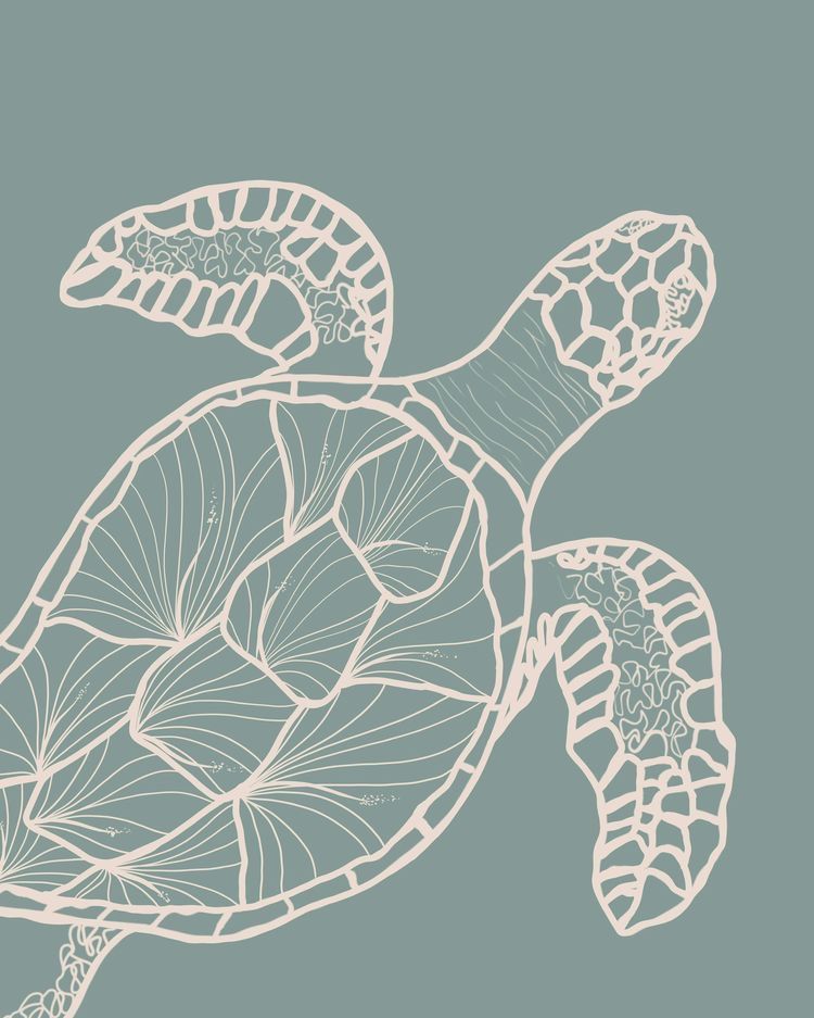 cute turtle wallpapers 0037