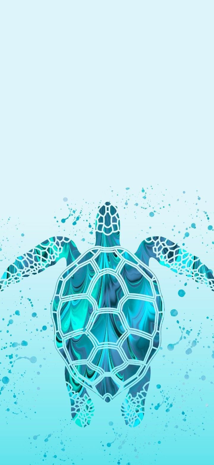 cute turtle wallpapers 0051