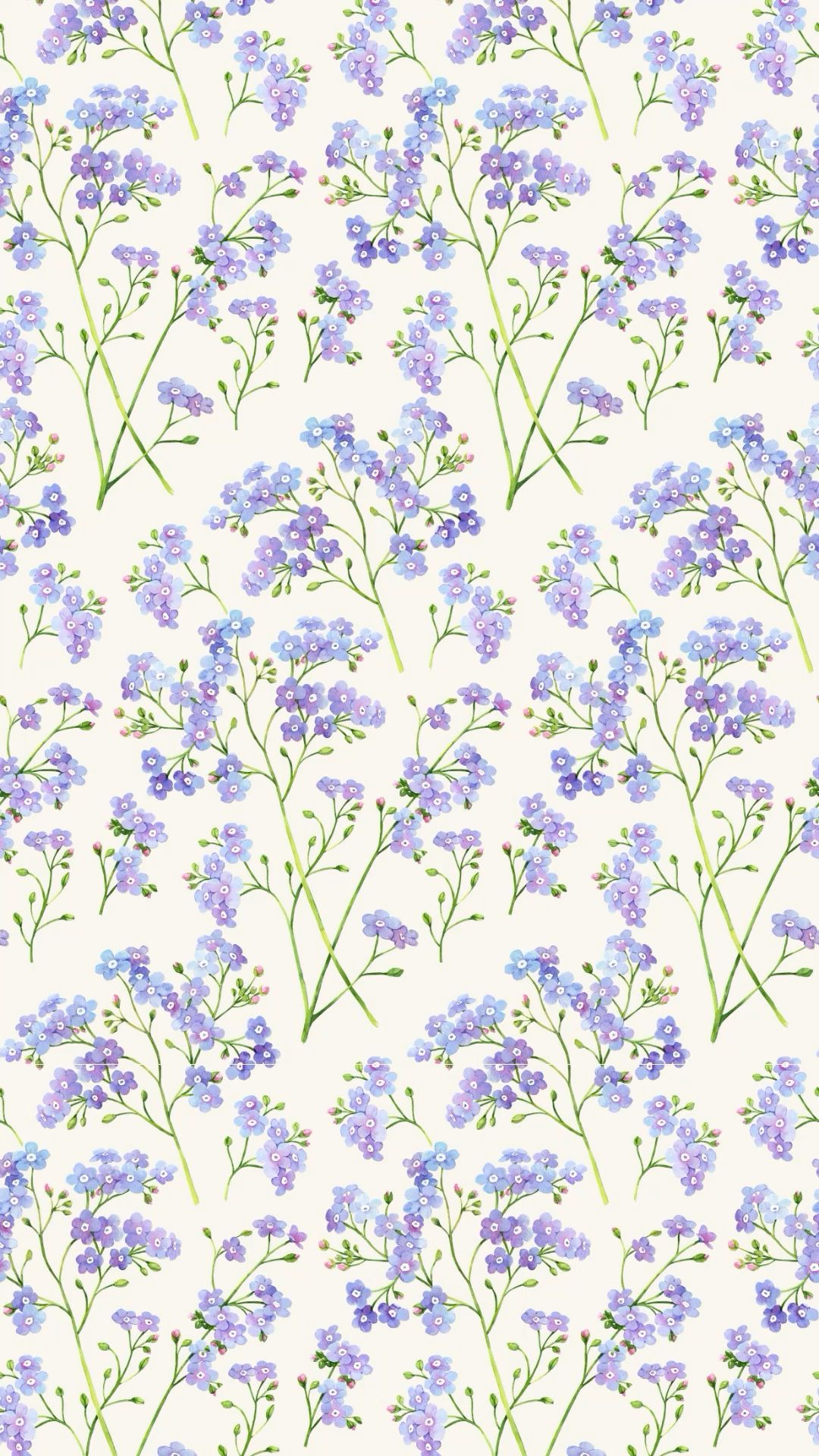 cute violet wallpapers 0085