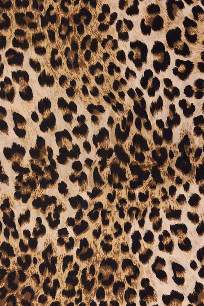 cute wallpapers cheetah print 0017