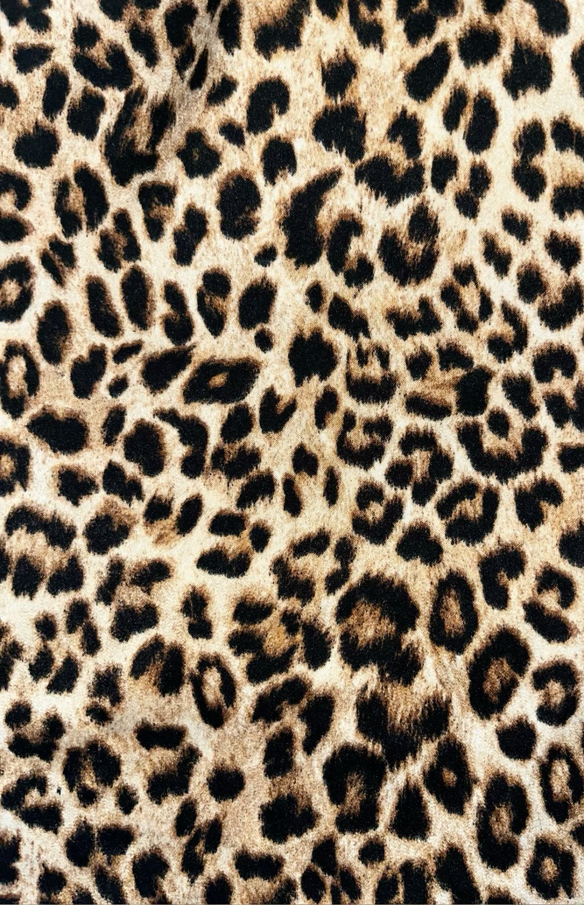 cute wallpapers cheetah print 0027