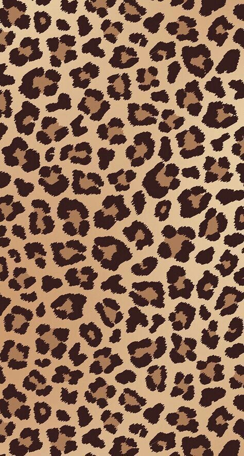 cute wallpapers cheetah print 0033