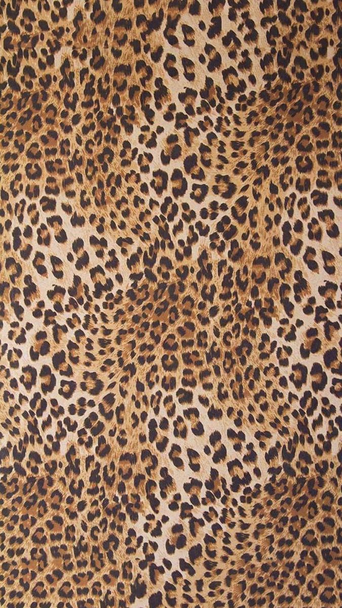 cute wallpapers cheetah print 0034