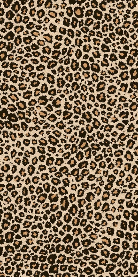 cute wallpapers cheetah print 0056